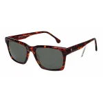 عینک آفتابی NTS - F 1060LT هاوانا - Image 2